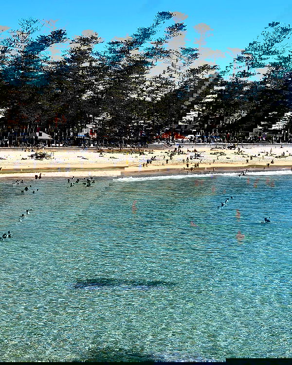 allygravemade image ~ Altpins