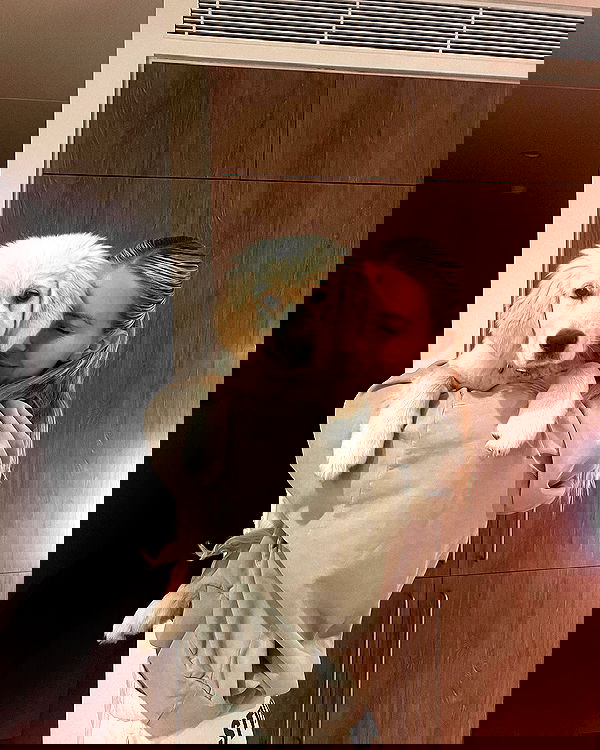 allygravemade image ~ Altpins