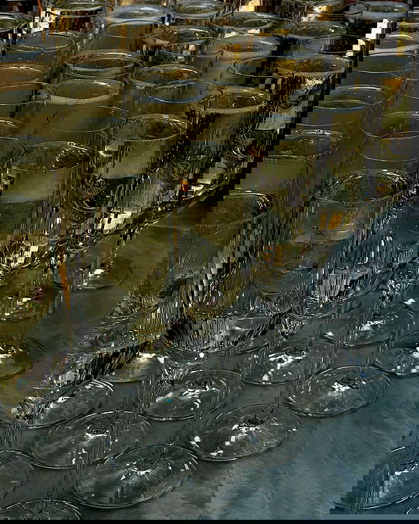 allygravemade image ~ Altpins