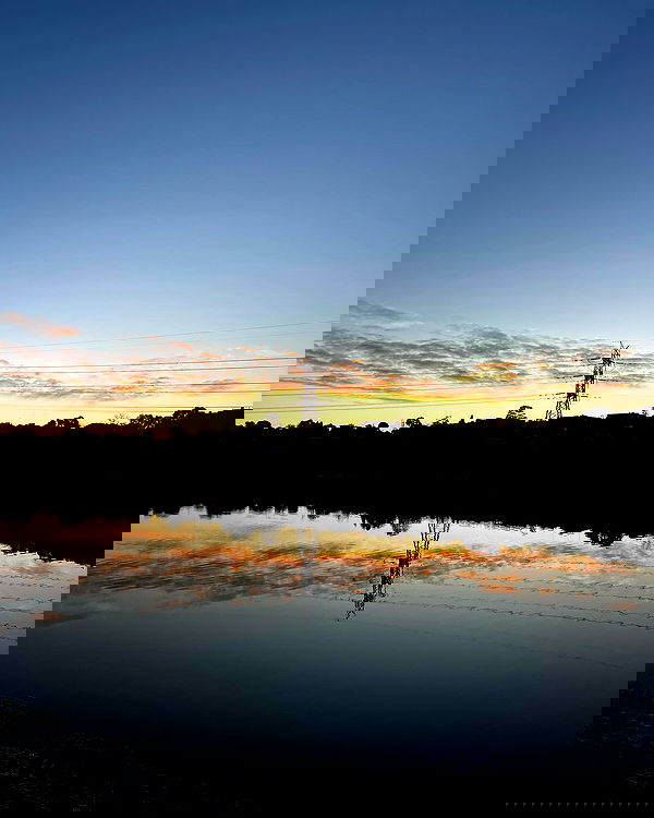 allygravemade image ~ Altpins