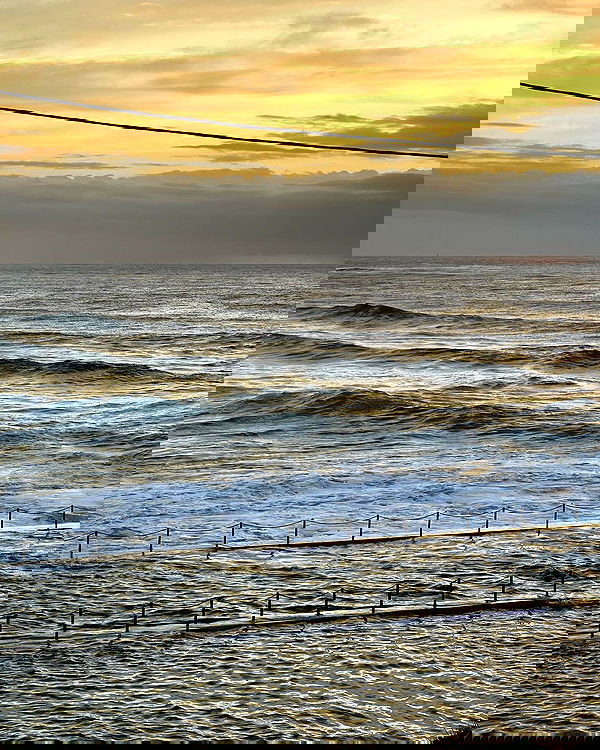 allygravemade image ~ Altpins