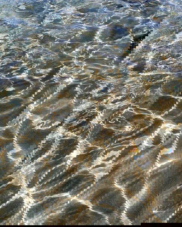 allygravemade image ~ Altpins