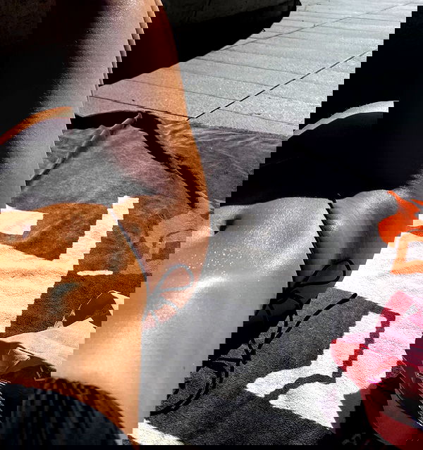 allygravemade image ~ Altpins