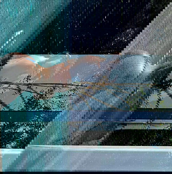 allygravemade image ~ Altpins