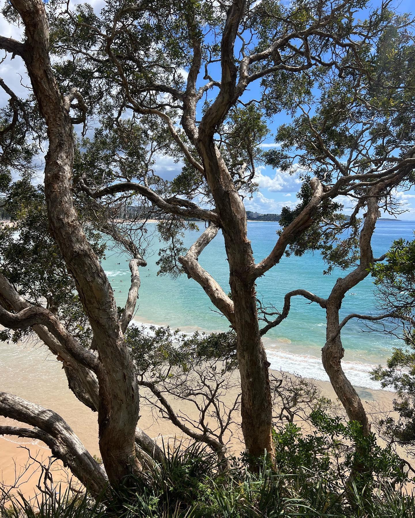 allygravemade instagram image archive image