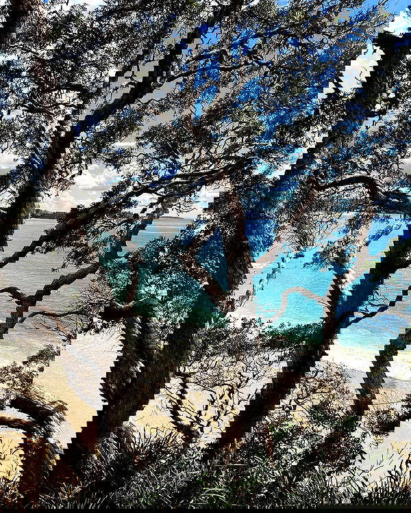 allygravemade image ~ Altpins