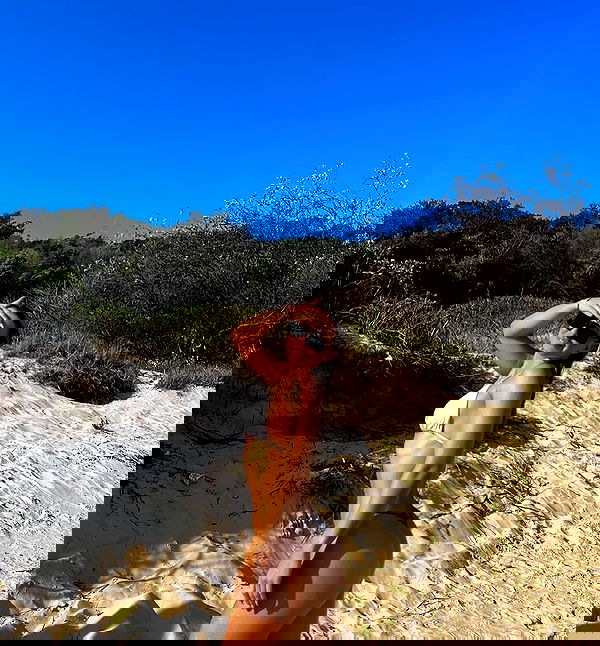 allygravemade image ~ Altpins