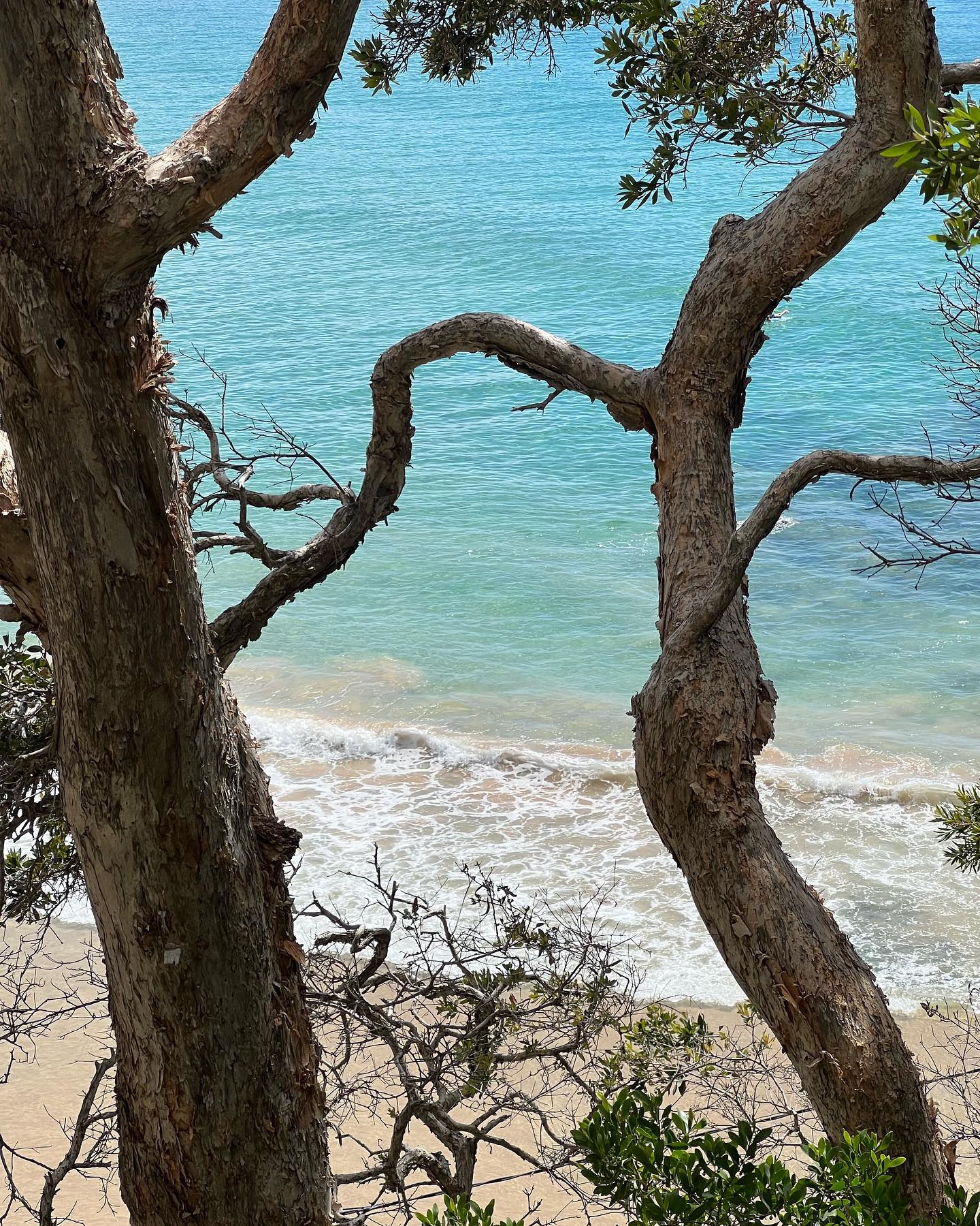 allygravemade instagram image archive image