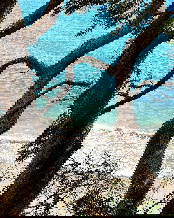 allygravemade image ~ Altpins