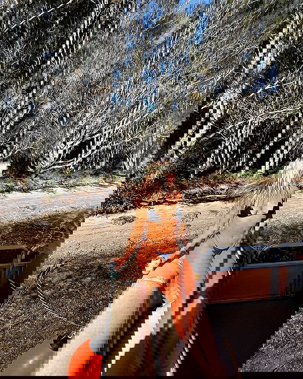 allygravemade image ~ Altpins