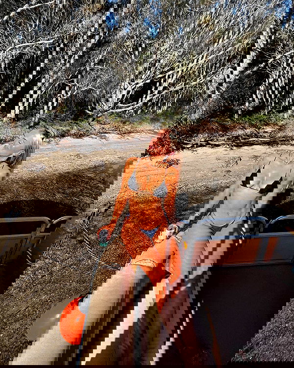 allygravemade image ~ Altpins