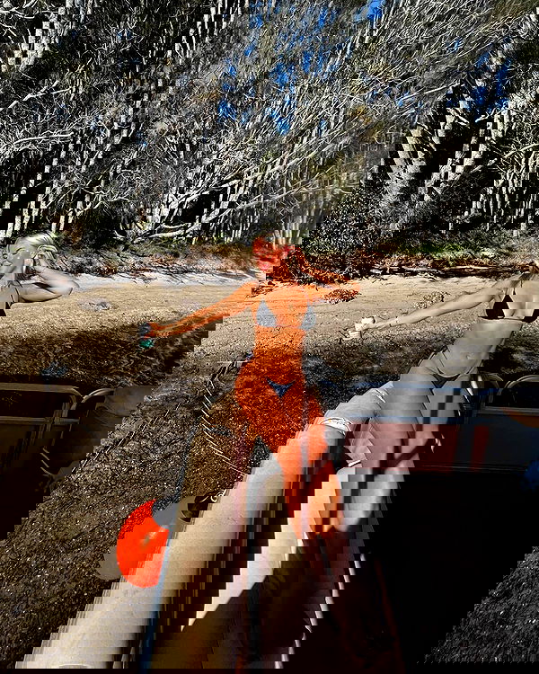 allygravemade image ~ Altpins