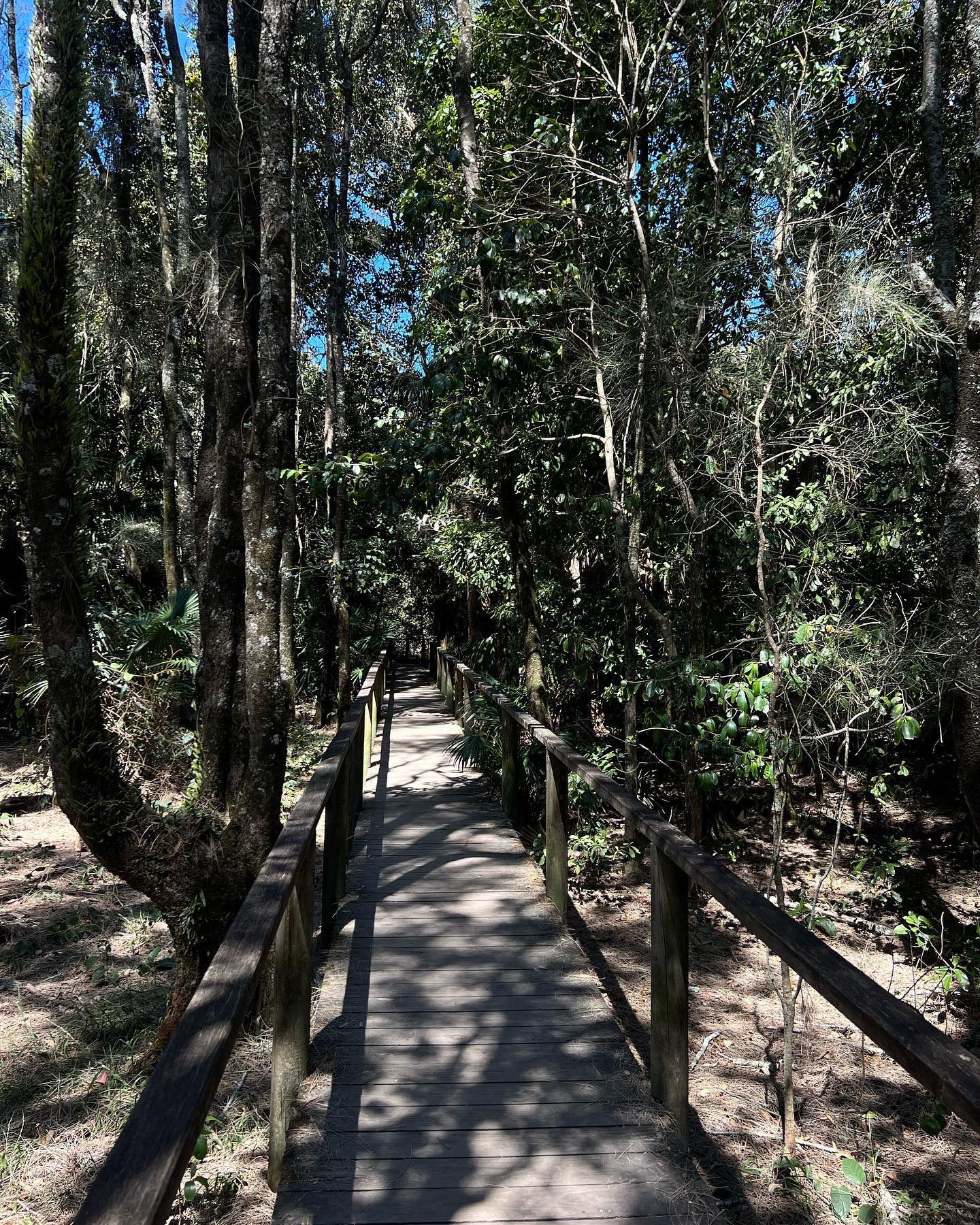 allygravemade instagram image archive image