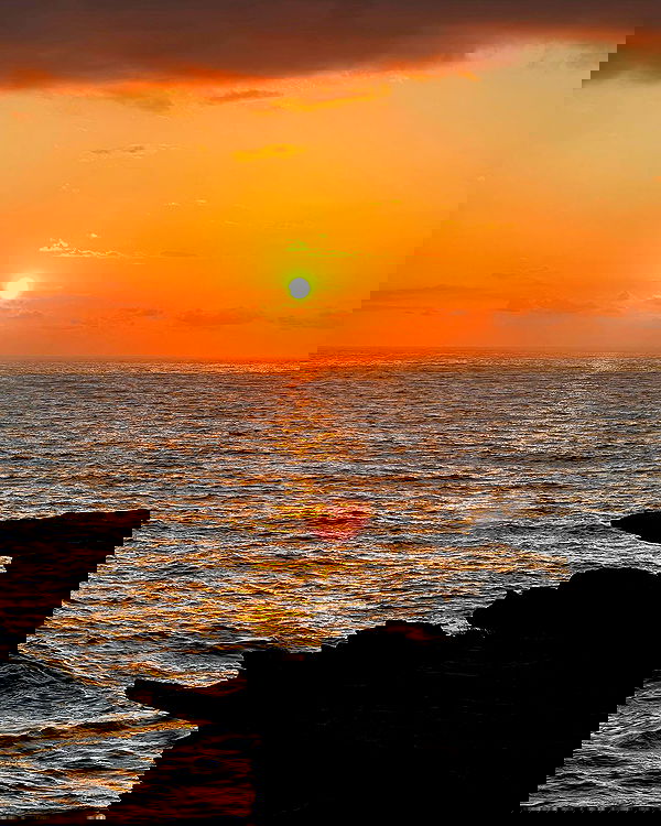 allygravemade image ~ Altpins