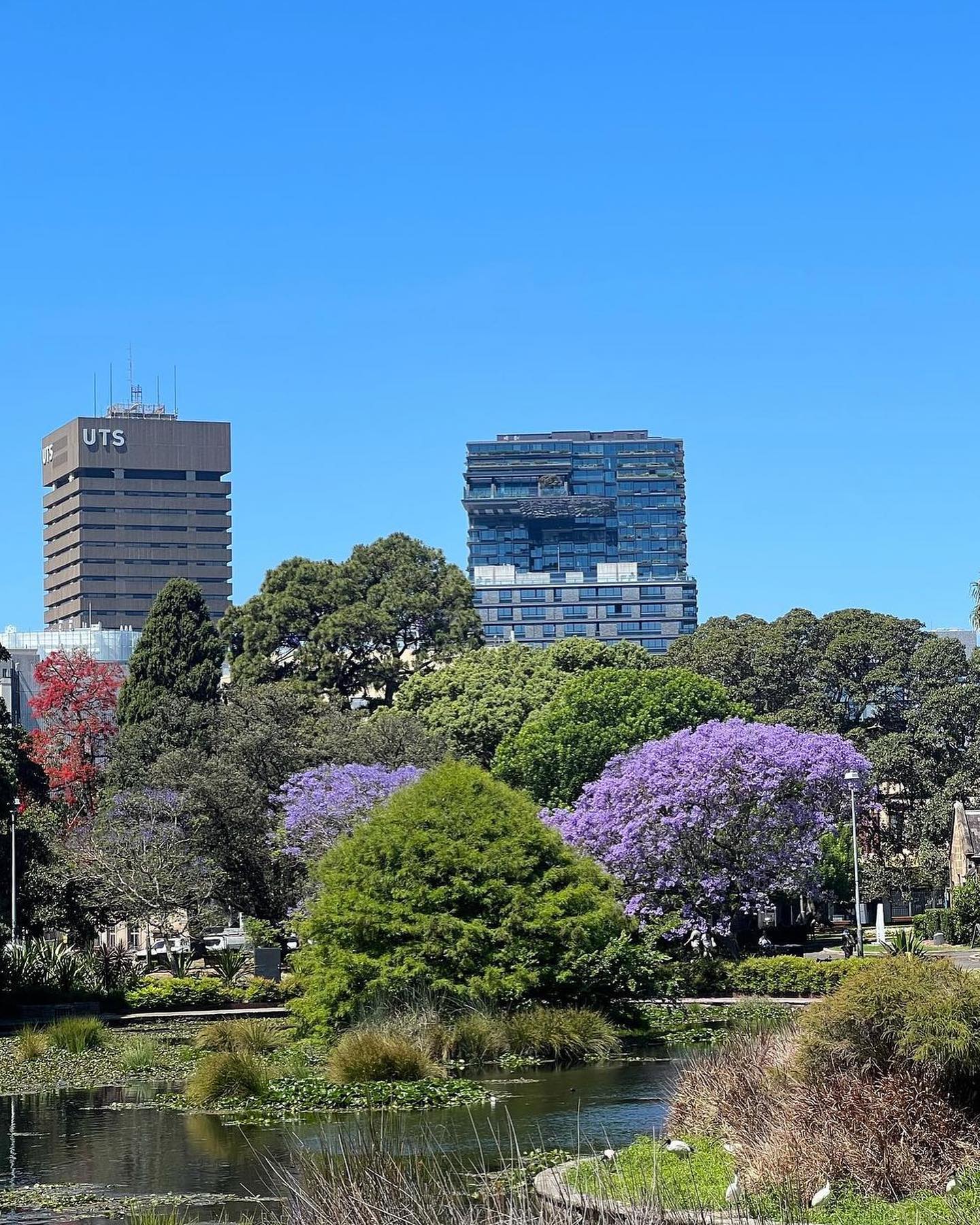 allygravemade instagram image archive image