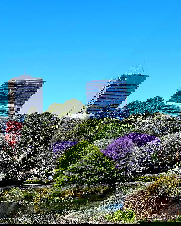 allygravemade image ~ Altpins