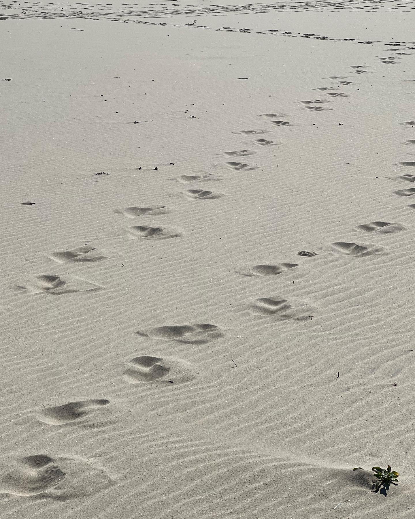 allygravemade instagram image archive image