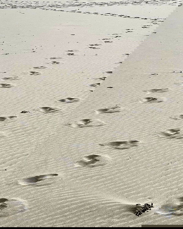 allygravemade image ~ Altpins