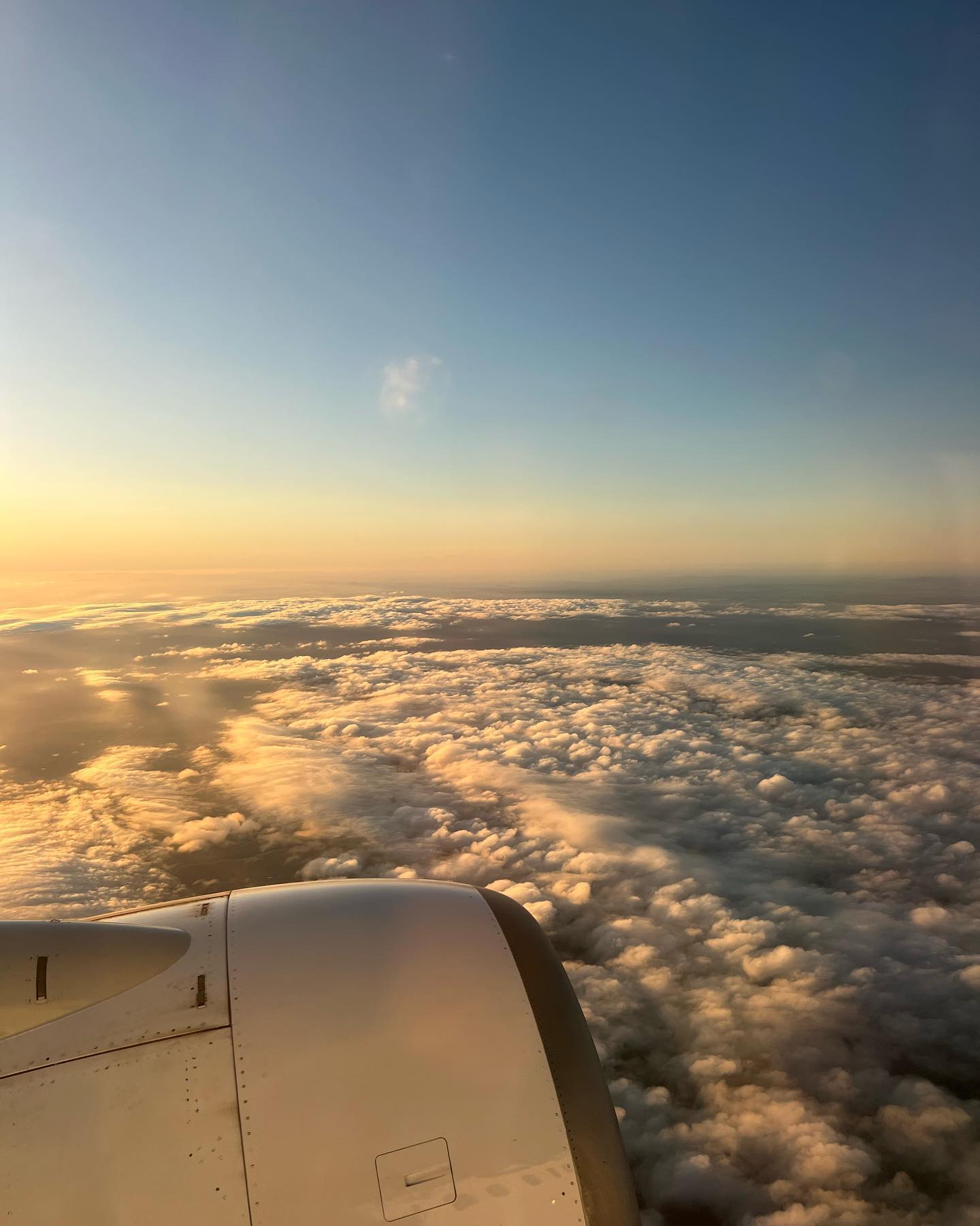 allygravemade instagram image archive image