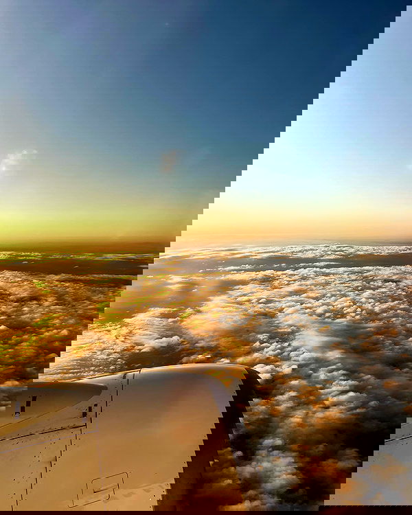 allygravemade image ~ Altpins