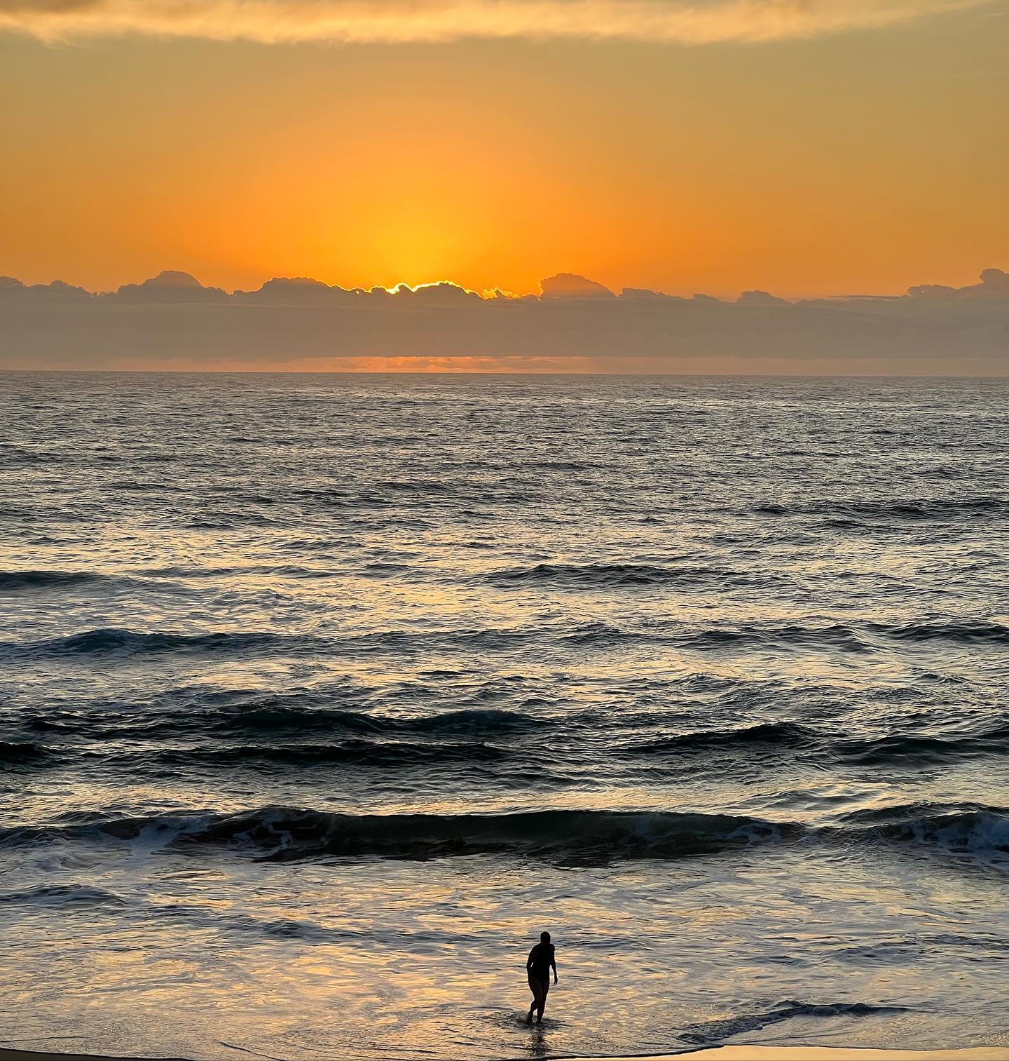 allygravemade instagram image archive image