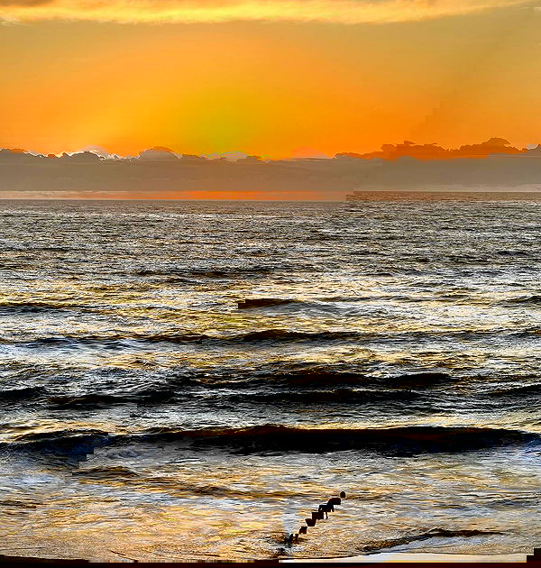 allygravemade image ~ Altpins