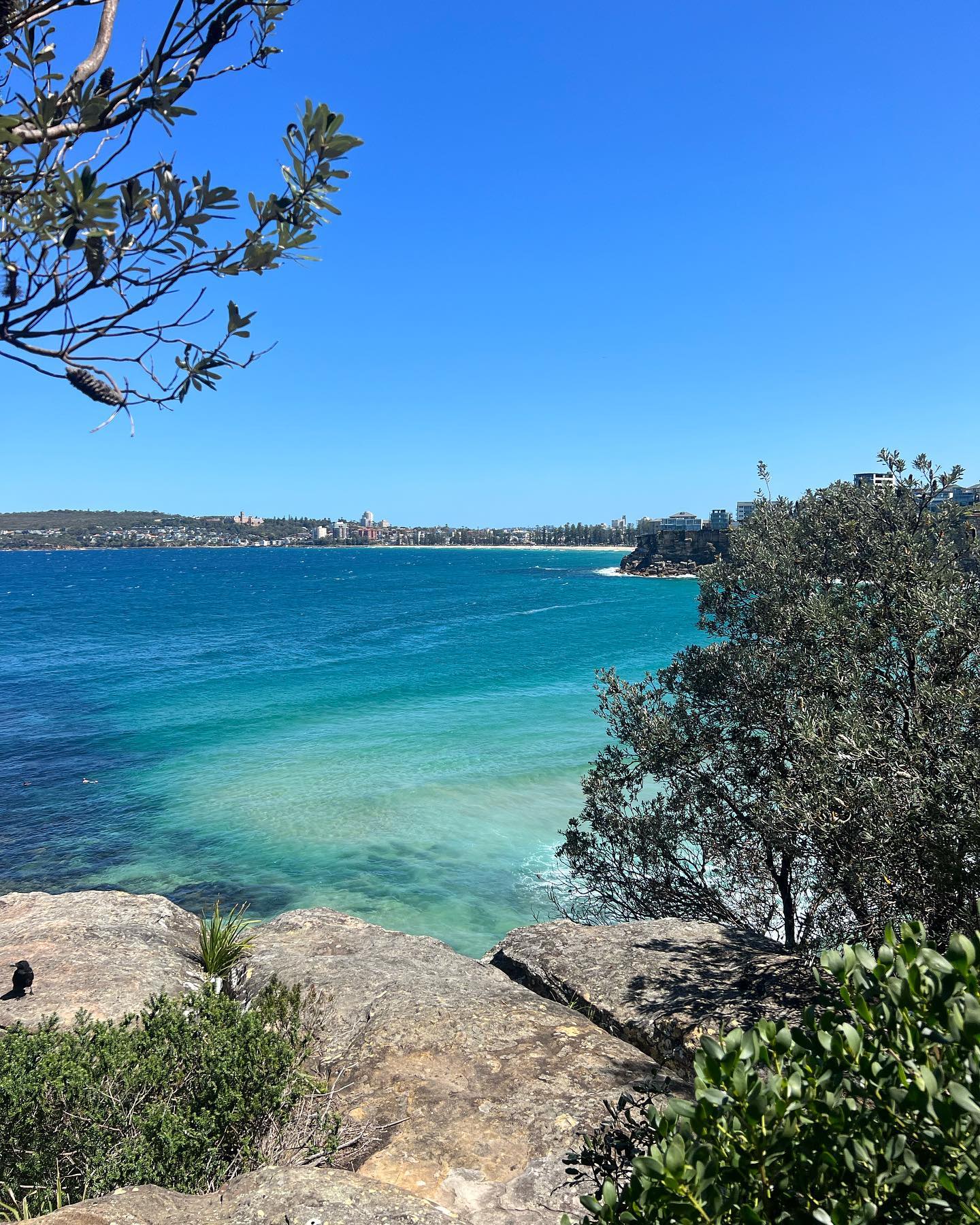 allygravemade instagram image archive image