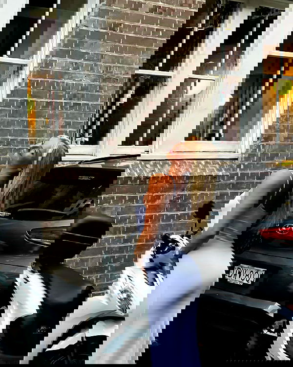 allygravemade image ~ Altpins