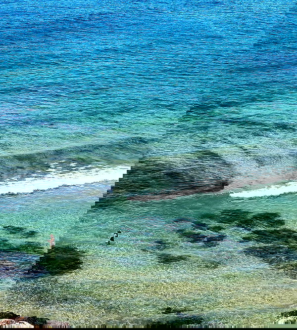 allygravemade image ~ Altpins