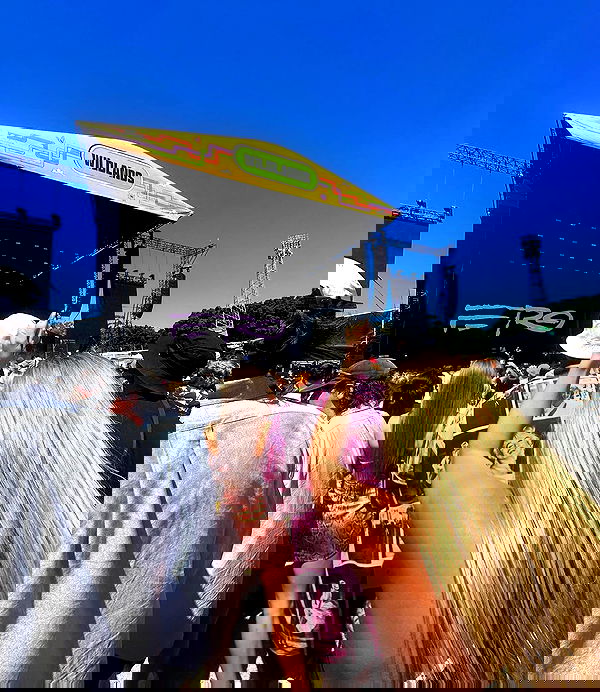 allygravemade image ~ Altpins