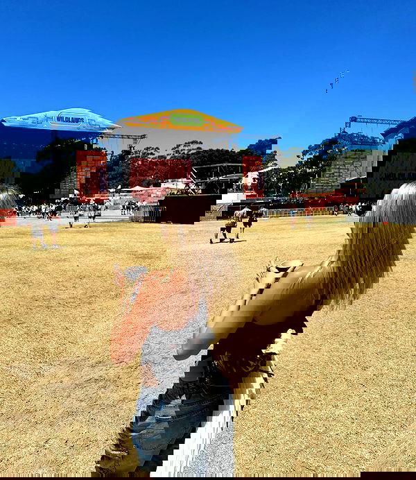 allygravemade image ~ Altpins