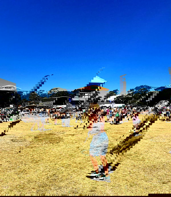 allygravemade image ~ Altpins