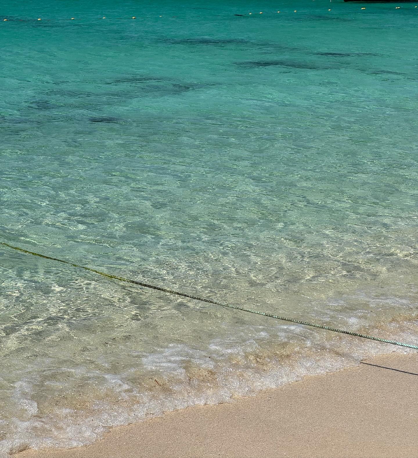 allygravemade instagram image archive image