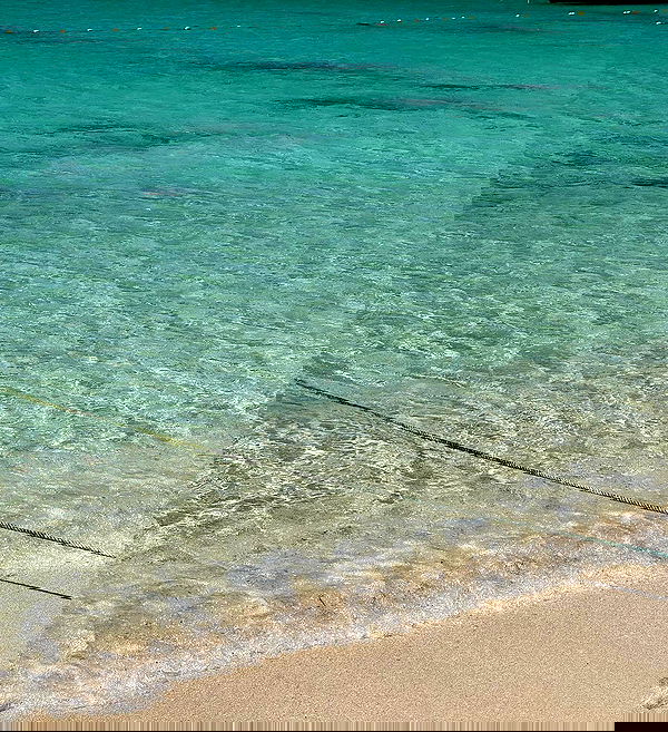 allygravemade image ~ Altpins