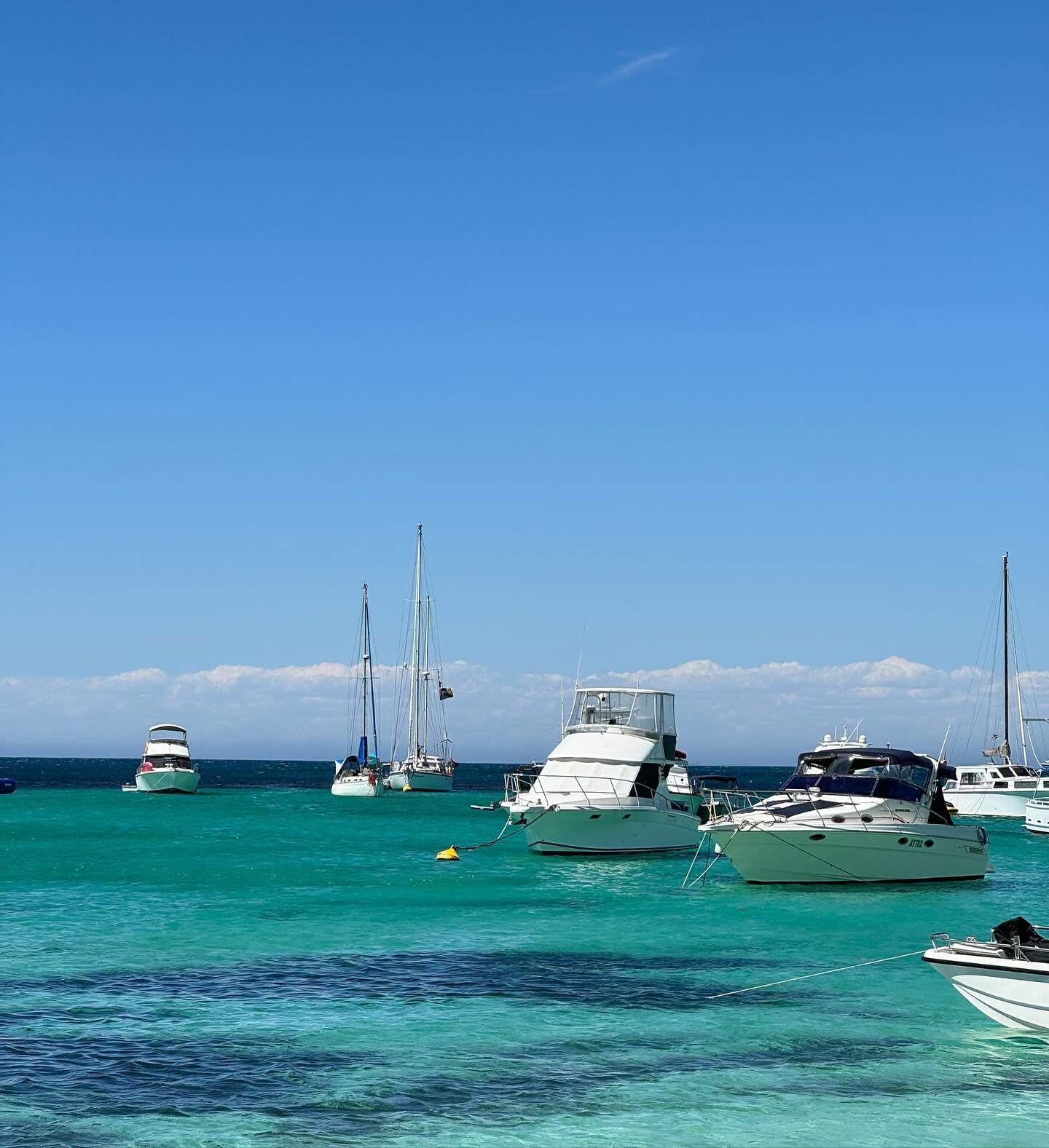 allygravemade instagram image archive image