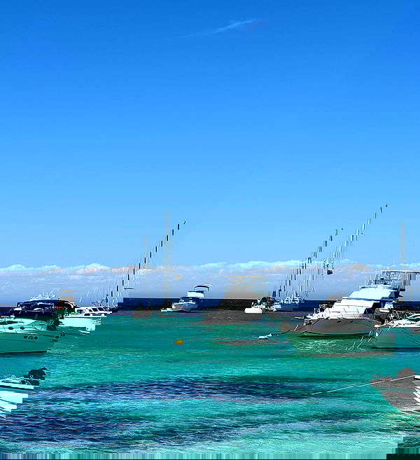 allygravemade image ~ Altpins