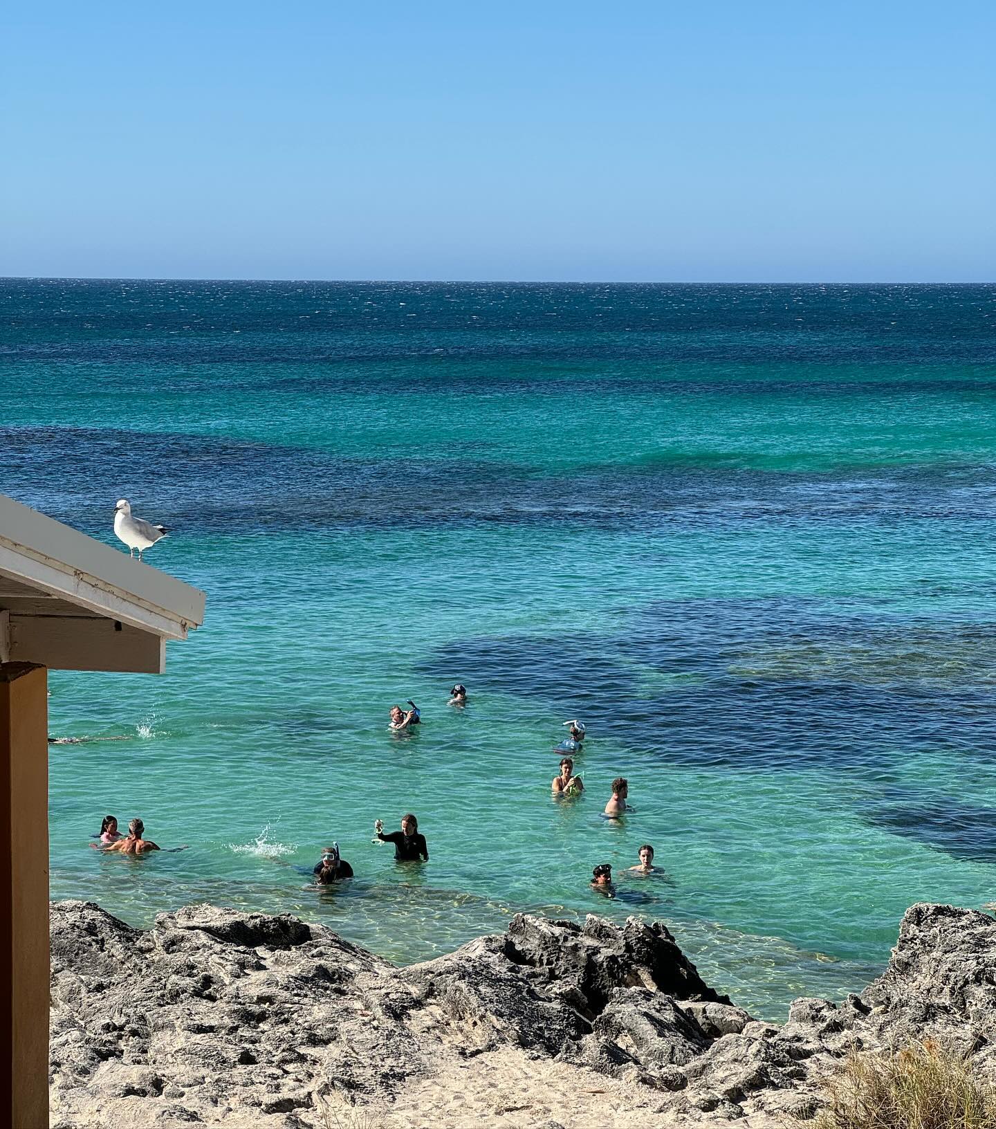 allygravemade instagram image archive image