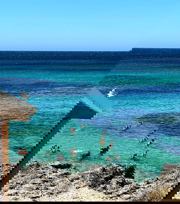 allygravemade image ~ Altpins