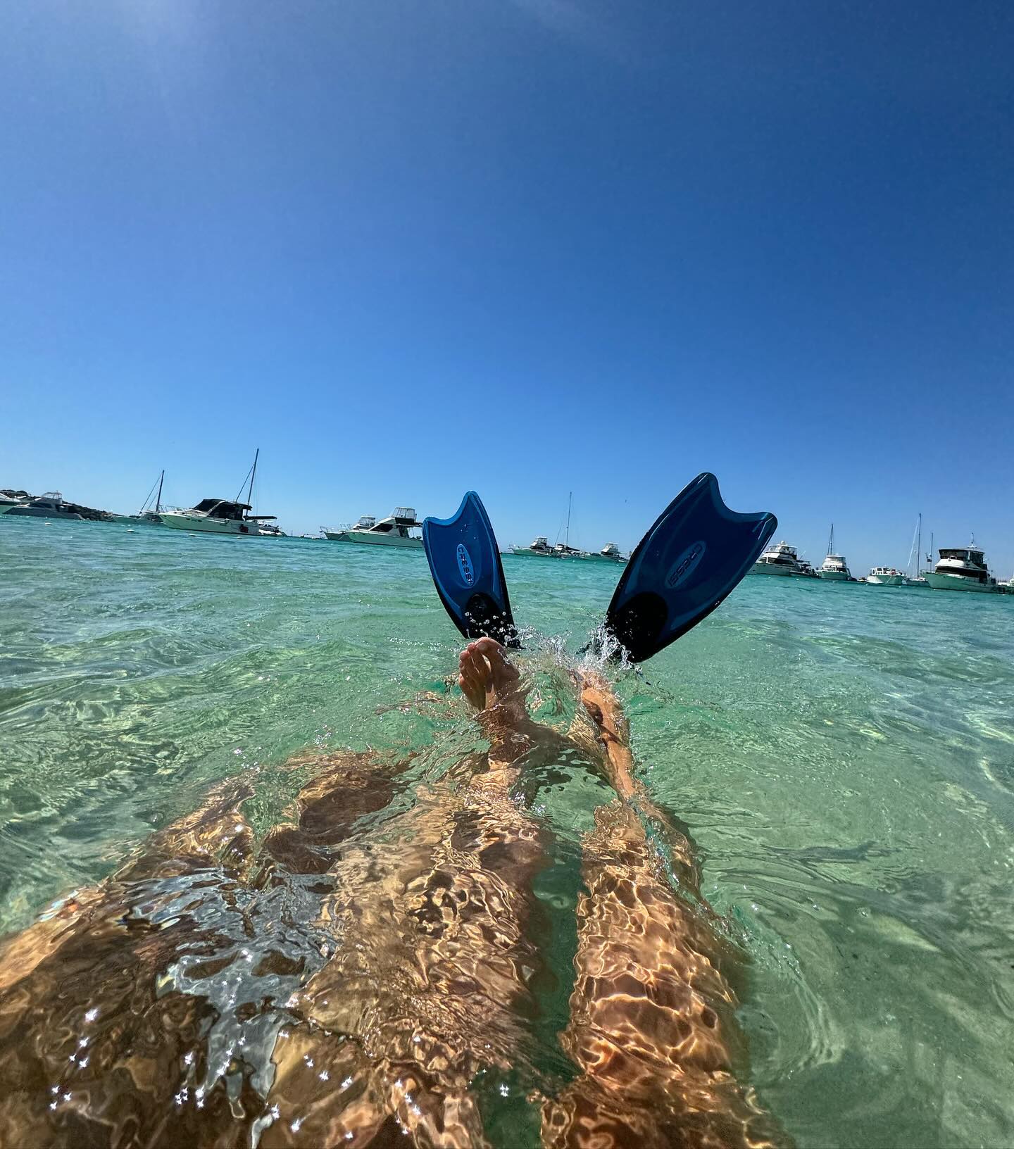 allygravemade instagram image archive image