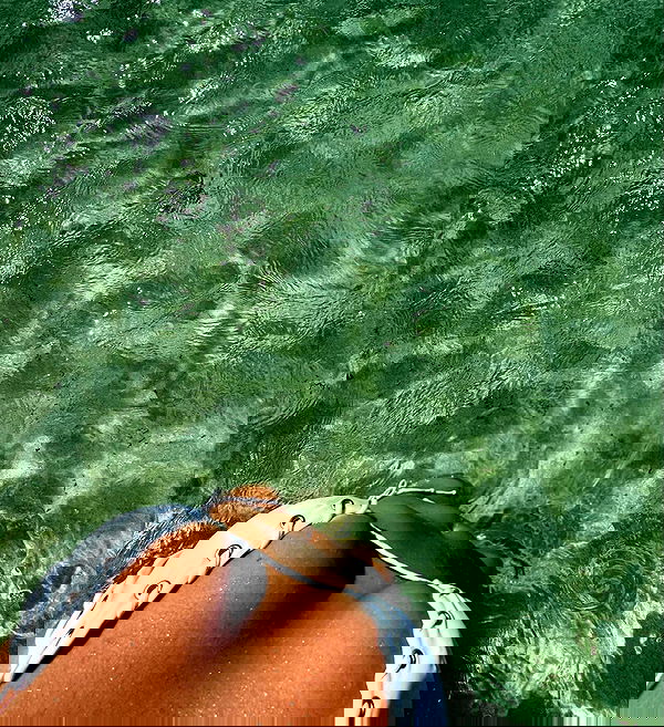 allygravemade image ~ Altpins