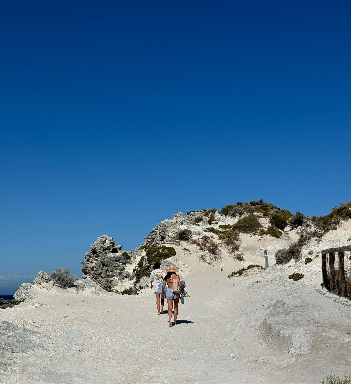 allygravemade instagram image archive image