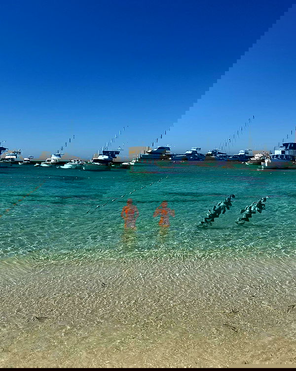 allygravemade image ~ Altpins