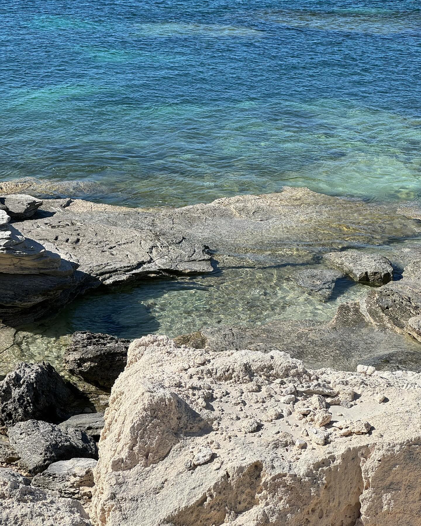 allygravemade instagram image archive image