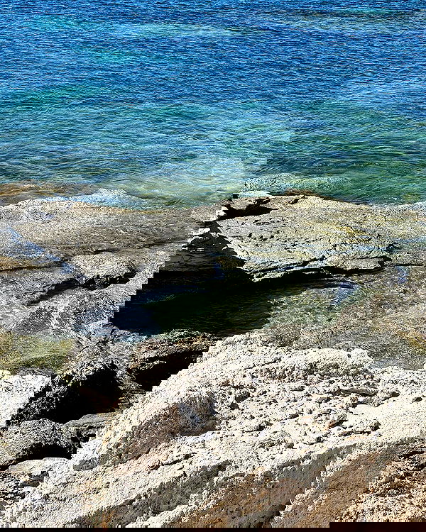 allygravemade image ~ Altpins