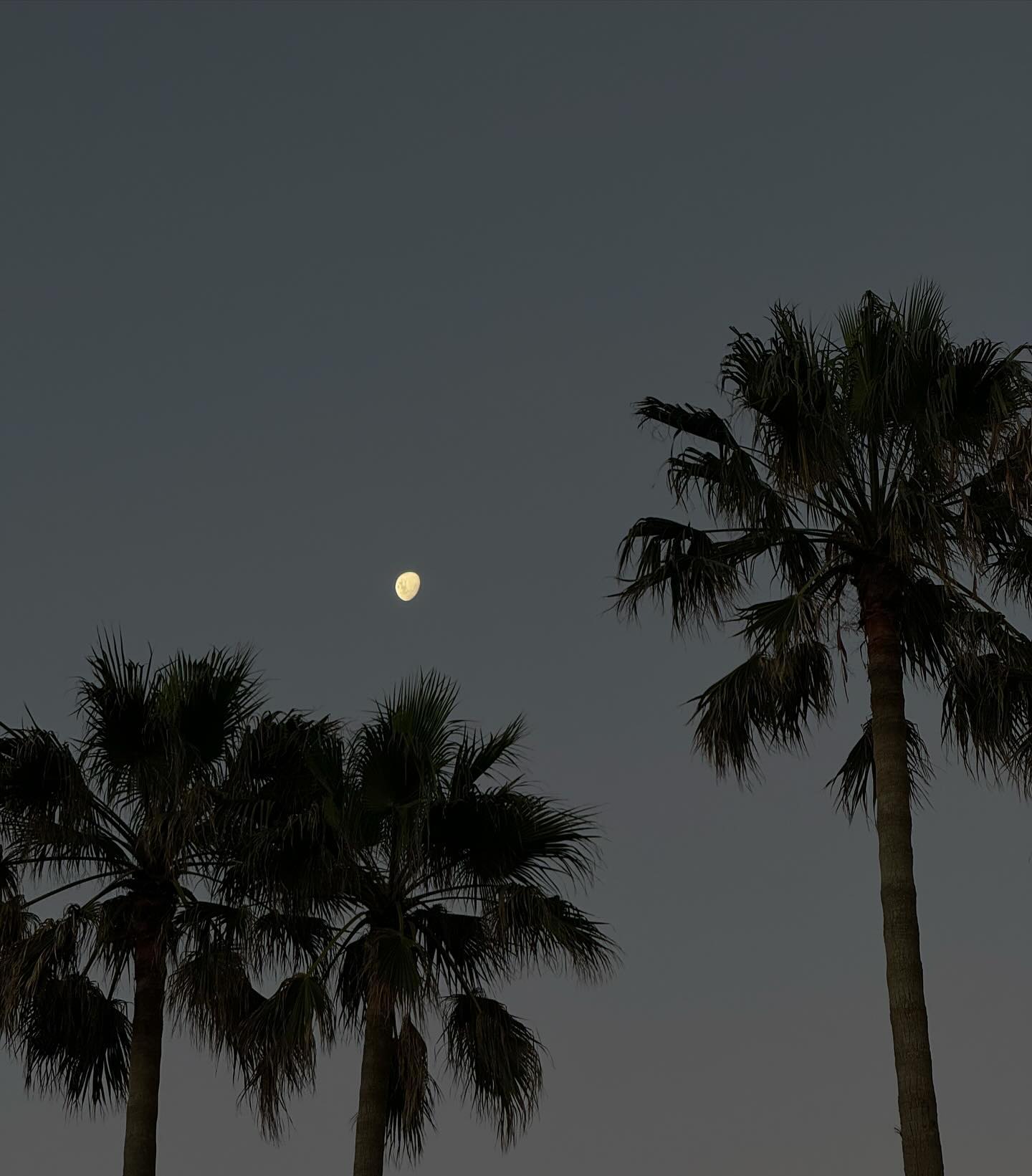 allygravemade instagram image archive image