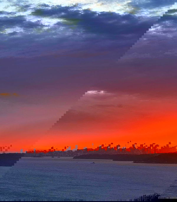 allygravemade image ~ Altpins