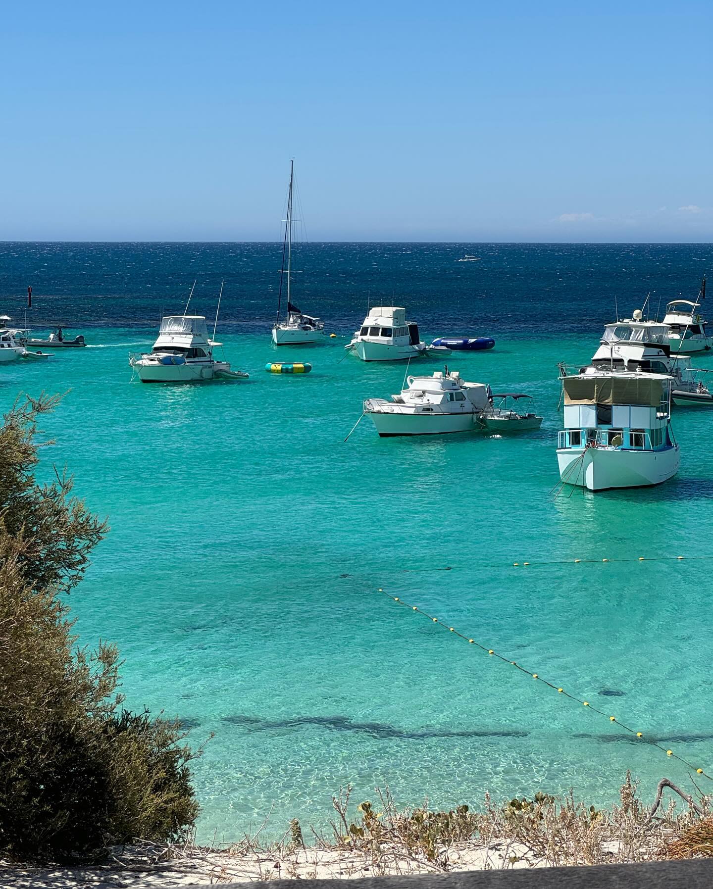 allygravemade instagram image archive image