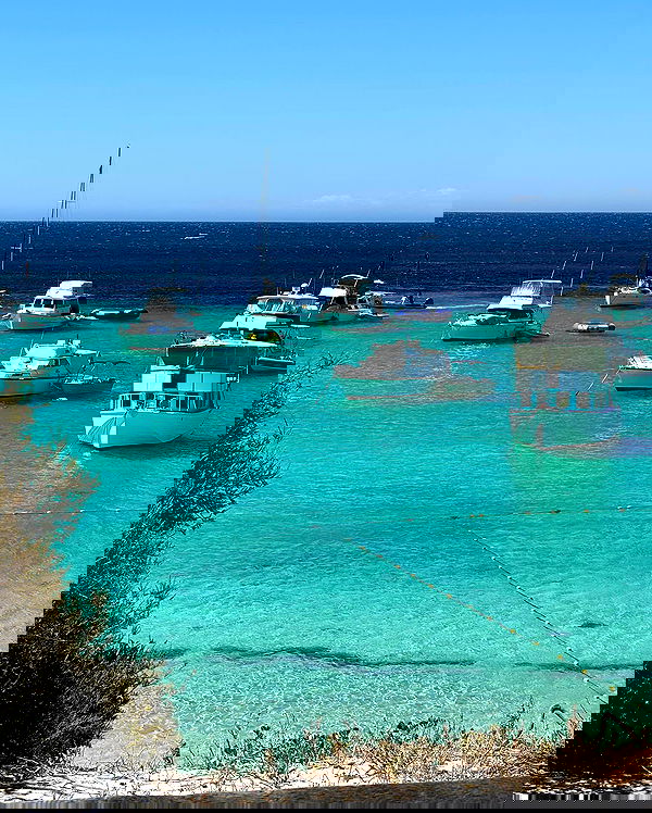 allygravemade image ~ Altpins