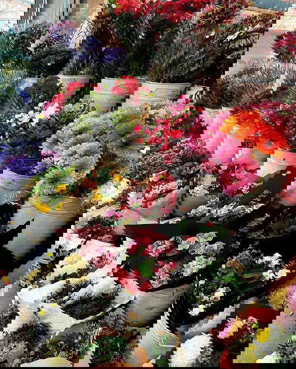 allygravemade image ~ Altpins