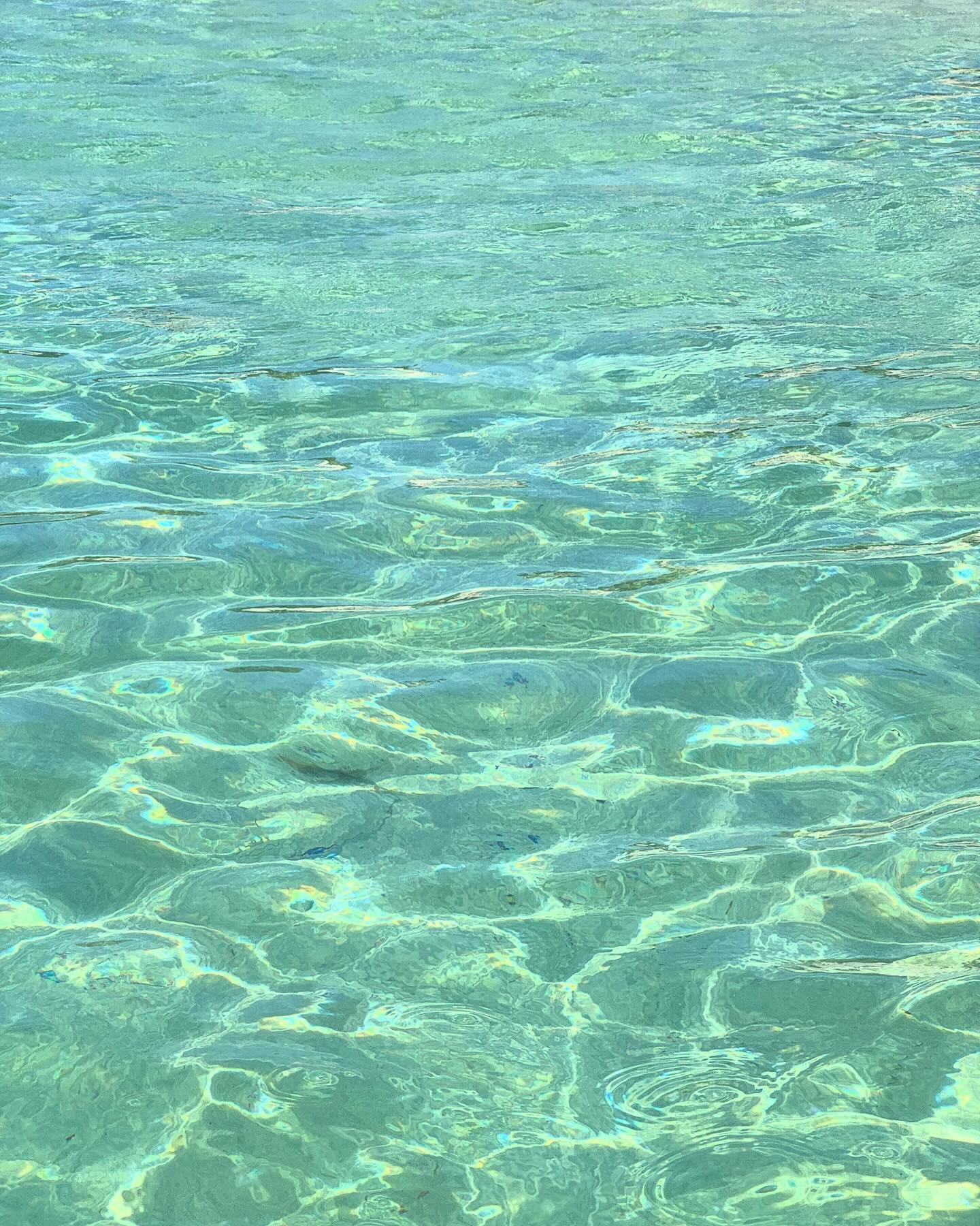 allygravemade instagram image archive image